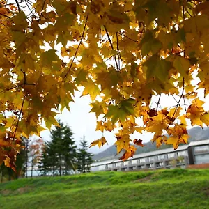 传统日式旅馆 富良野酒店 中富良野町